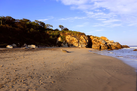 Beach and the ocean