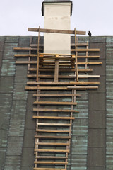 bird and wooden scaffolding