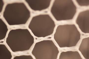 reverse lens micro net