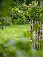 Obraz premium rural wooden fence in a lush green garden .