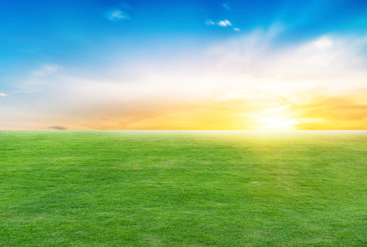 green meadow and with sunset and blue sky. Landscape and nature park background in summer season