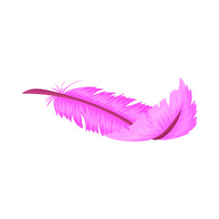 Colorful feathers. Cartoon and flat style. Vector illustration on white background.