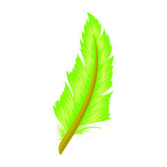 Colorful feathers. Cartoon and flat style. Vector illustration on white background.