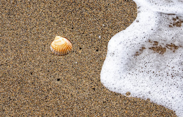 Sea wave on sandy beach