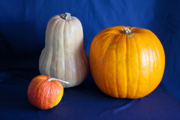 three pumpkins of different varieties on the table.ripe harvest.