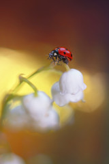 Waiting for the moment