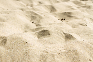 Sable
