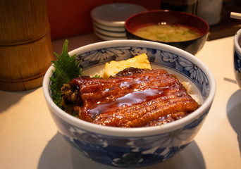 Japanese grilled eel with sweet sauce on rice cup or Unagi Kabayaki in Japanese menu.