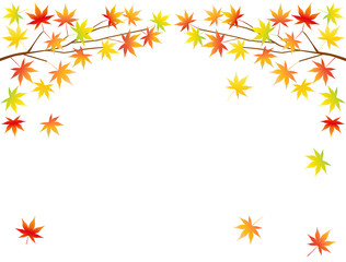 Obraz premium 紅葉37