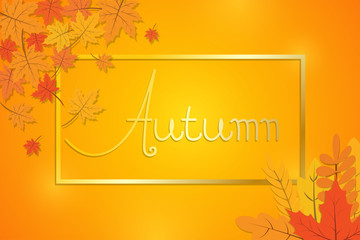 Autumn background template