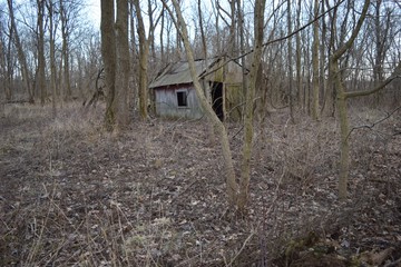 Old Deserted Barn in the Woods