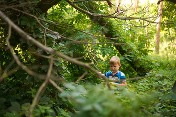 boy 5-6 years old in the dense deciduous forest in summer