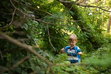 boy 5-6 years old in the dense deciduous forest in summer