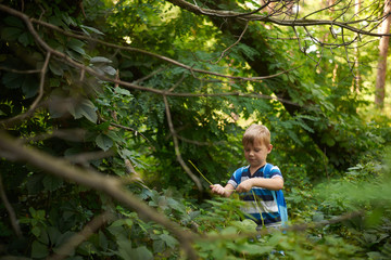 boy 5-6 years old in the dense deciduous forest in summer