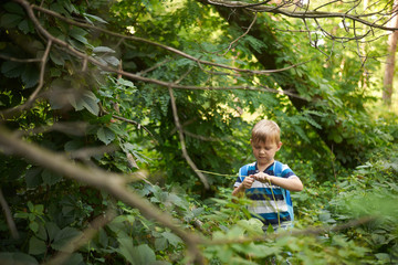 boy 5-6 years old in the dense deciduous forest in summer