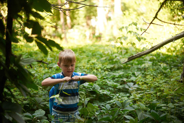 boy 5-6 years old in the dense deciduous forest in summer