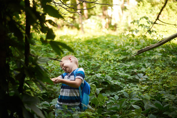 boy 5-6 years old in the dense deciduous forest in summer