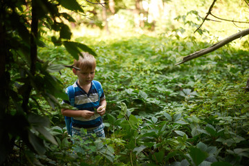 boy 5-6 years old in the dense deciduous forest in summer
