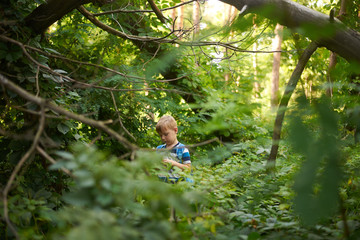 boy 5-6 years old in the dense deciduous forest in summer