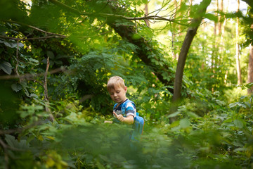 boy 5-6 years old in the dense deciduous forest in summer