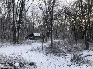 Old Deserted Barn in the Woods