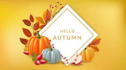 White square frame on yellow background with autumn plants, pumpkin, apple, red berry, and fall leaf. Vector illustration for Thanksgiving, autumn sale design background with simple modern design  - 285798220