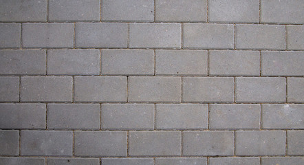 Gray rectangular paving slabs. Texture.