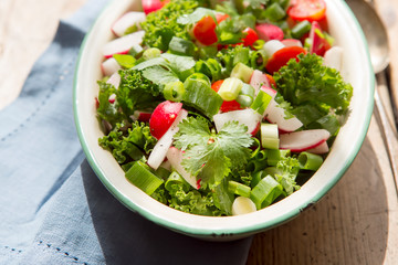 Kale, radish, green onion, coriander salad 