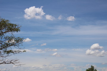 sky  fieid nad bird in nature