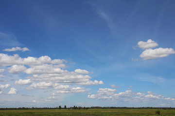 sky  fieid nad bird in nature