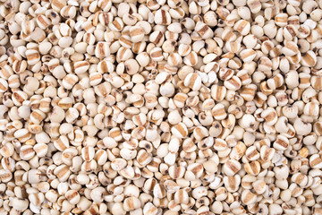 Fototapeta premium Organic millet grains natural texture for background.