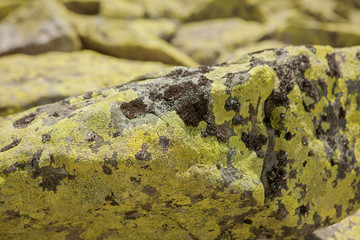 Closeup surface abstract marble pattern at the marble stone floor texture background