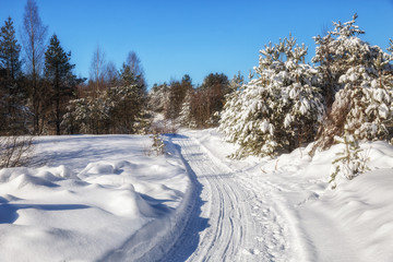 Road in the winter forest