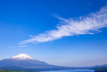 緑の森林と富士山　山梨県