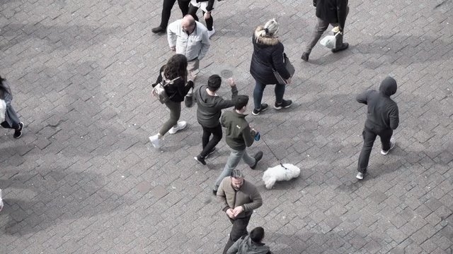 People From High Angle View in Time Lapse
