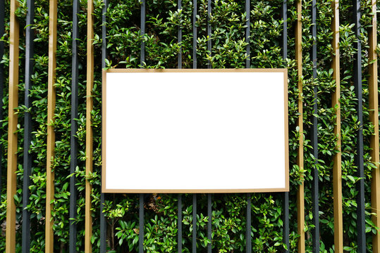 Blank picture frame on tree fence background.