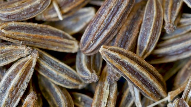 Close-up of Caraway Seeds, Carum carvi, Food Background, Zoom Out
