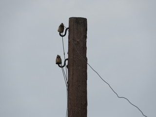 Rusty old buildings, a crane and a pole repair work at Russia