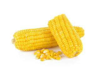 Corn on the cob kernels isolated Clipping Path