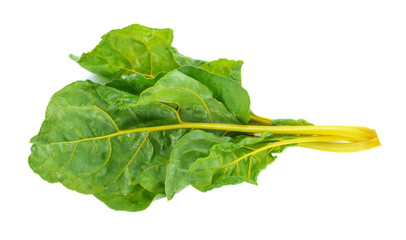 lettuce vegetable isolated on white background