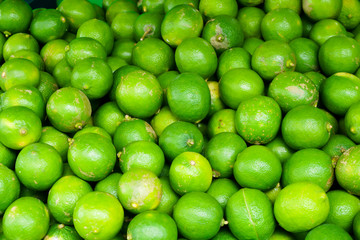 Fresh lemon green skin after harvesting on the floor for distribution.Green fresh limes at maket