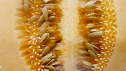 Cantaloupe melon seeds macro texture background