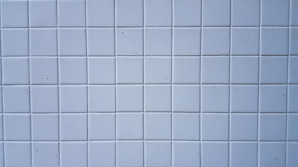 White brick wall texture. May use as background