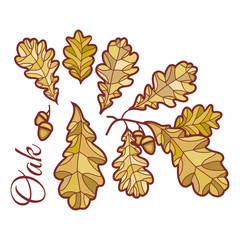 Birch leaves in stained  illustration. 