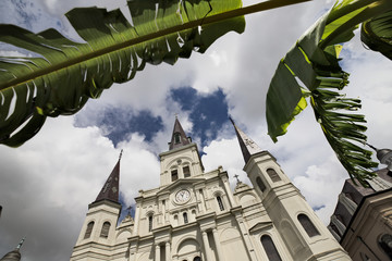 Low-angle view  of Saint-Louis church in New-Orleans, Louisiana, framed by a palm-tree