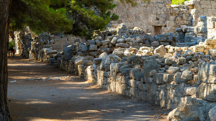 Fototapete bei efototapeten.de bestellen   