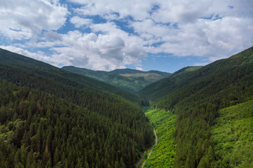 Fototapeta na wymiar Aerial View Green Grass Summer Mountain In Mountains. View of Carpathians Mountains In Drone Aerial View