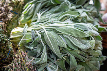 Sage for Sale on a Market Stall