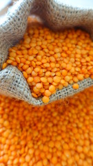 Red lentils in sack, closeup.