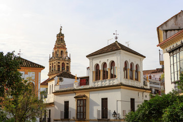 Fototapeta na wymiar Cordoba,Spain,2,2014;Streets, shops, mosques, balconies and people.